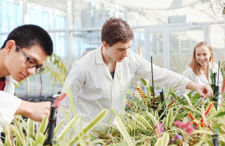Three UNSW students in a greenhouse